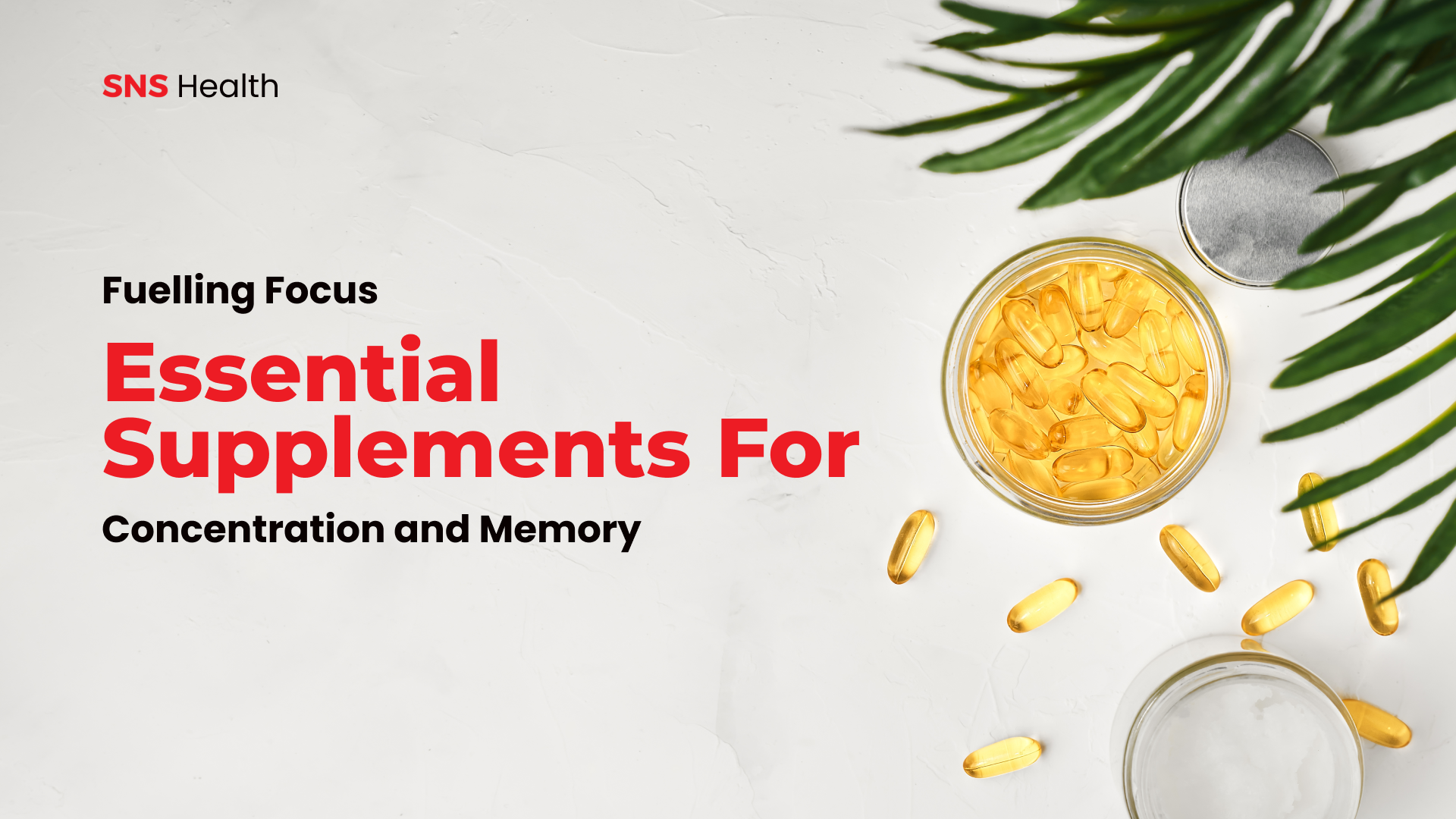 Fuelling Focus: Essential Supplements for Concentration and Memory