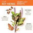 Himalaya - HeartCare - 120 vegetarian capsules - Herbals