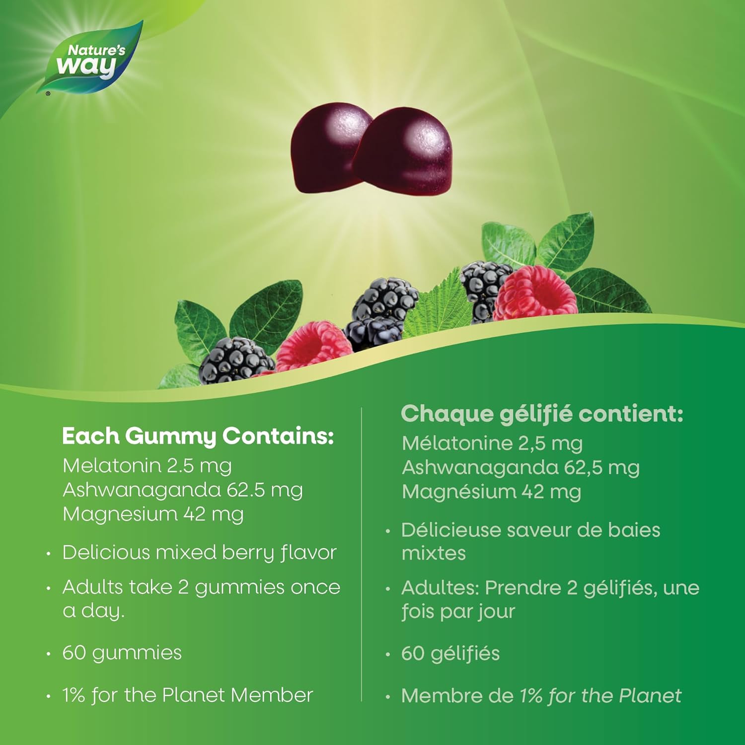 Nature's Way Sleep Well Gummies - 60 Gummies - Melatonin