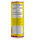 Guayaki Sparkling Yerba Mate - Cranberry Pomegranate 355ml - - Tea