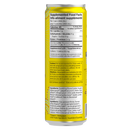 Guayaki Sparkling Yerba Mate - Grapefruit Ginger 355ml - - Tea