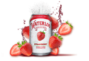 Waterloo Sparkling Water - Strawberry 355ml - - Water