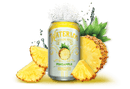 Waterloo Sparkling Water - Pineapple 355ml - - Water