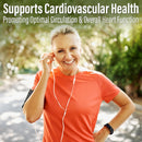 Kyolic Aged Garlic Extract Everyday Support Formula 100 - 180 capsules - Supplements