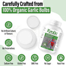Kyolic Aged Garlic Extract Everyday Support Formula 100 - 180 capsules - Supplements