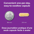 Webber Naturals B50 Complex - 80 Capsules - Vitamin B