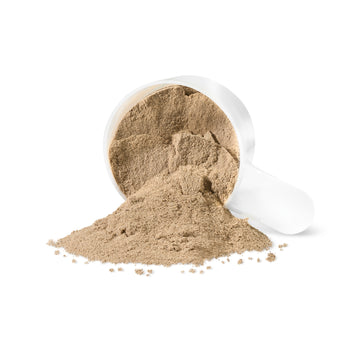 Progressive Whey + Collagen & MCT - 700g - Protein Powder