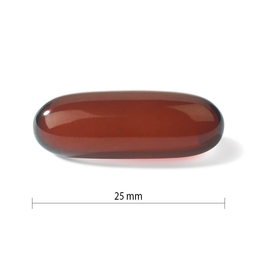 Progressive OmegEssential + D3 - 120 softgels - Omega 3
