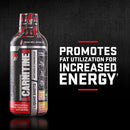 Prosupps L-Carnitine 1500 - Watermelon Candy 16oz - Amino Acids