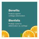 Webber Naturals Glucosamine Chondroitin MSM 500/360/400 mg - 500mL Natural Tangerine Flavour - Joint Health