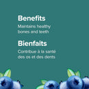 Webber Naturals Calcium Vitamin D3 1000 mg/400 IU - 500mL Blueberry Flavour - Calcium