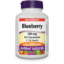 Webber Naturals Blueberry 36:1 Concentrate 500 mg - 120 Capsules - Herbals