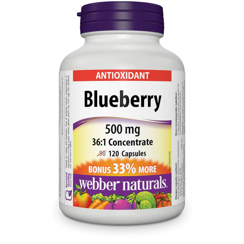 Webber Naturals Blueberry 36:1 Concentrate 500 mg 120 Capsules