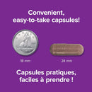 Webber Naturals Blueberry 36:1 Concentrate 500 mg - 120 Capsules - Herbals