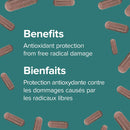 Webber Naturals Blueberry 36:1 Concentrate 500 mg - 120 Capsules - Herbals