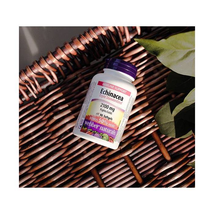 Webber Naturals Echinacea Triple Standardized 2100 mg 90 Softgels