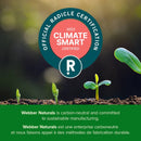 Webber Naturals Coenzyme Q10 200 mg - 60 Softgels - CoQ10