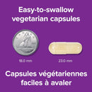 Webber Naturals Maca Energy 500/200 mg with Ginseng - 150 vegetarian capsules 09 01 - Adaptogen