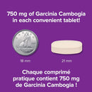 Webber Naturals MetaSlim Garcinia Cambogia 60% HCA 750 mg - 120 Tablets - Weight Management