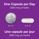 Webber Naturals Biotin 2500 mcg - 90 vegetarian capsules - Vitamin B