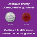 Webber Naturals Vitamin B12 1000 mcg Gummies - 60 Gummies Cherry Pomegranate - Vitamin B