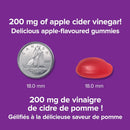 Webber Naturals Apple Cider Vinegar - 90 Gummies Apple Flavour - Apple Cider Vinegar