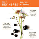 Himalaya - UriCare - 120 vegetarian capsules - Urinary Support