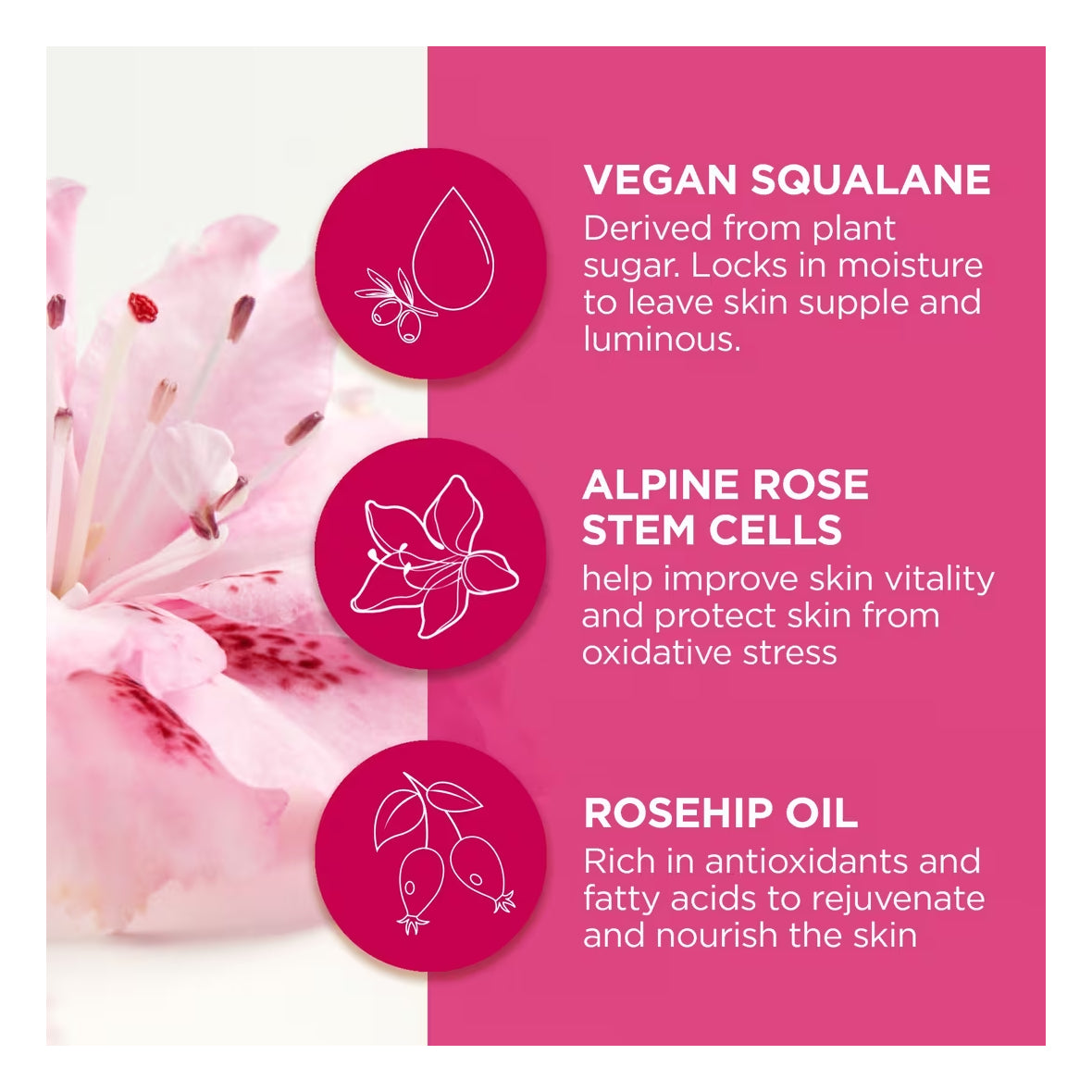 Andalou Naturals 1000 Roses Moroccan Beauty Oil - 30 ml - Body care