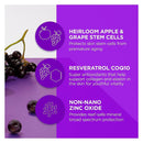 Andalou Naturals Perfecting BB Natural Tint SPF 30 - 58 ml - Sunscreen