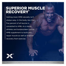 Allmax HMB 3000Mg - 120 Veggie Capsules 06 - Pre-workout