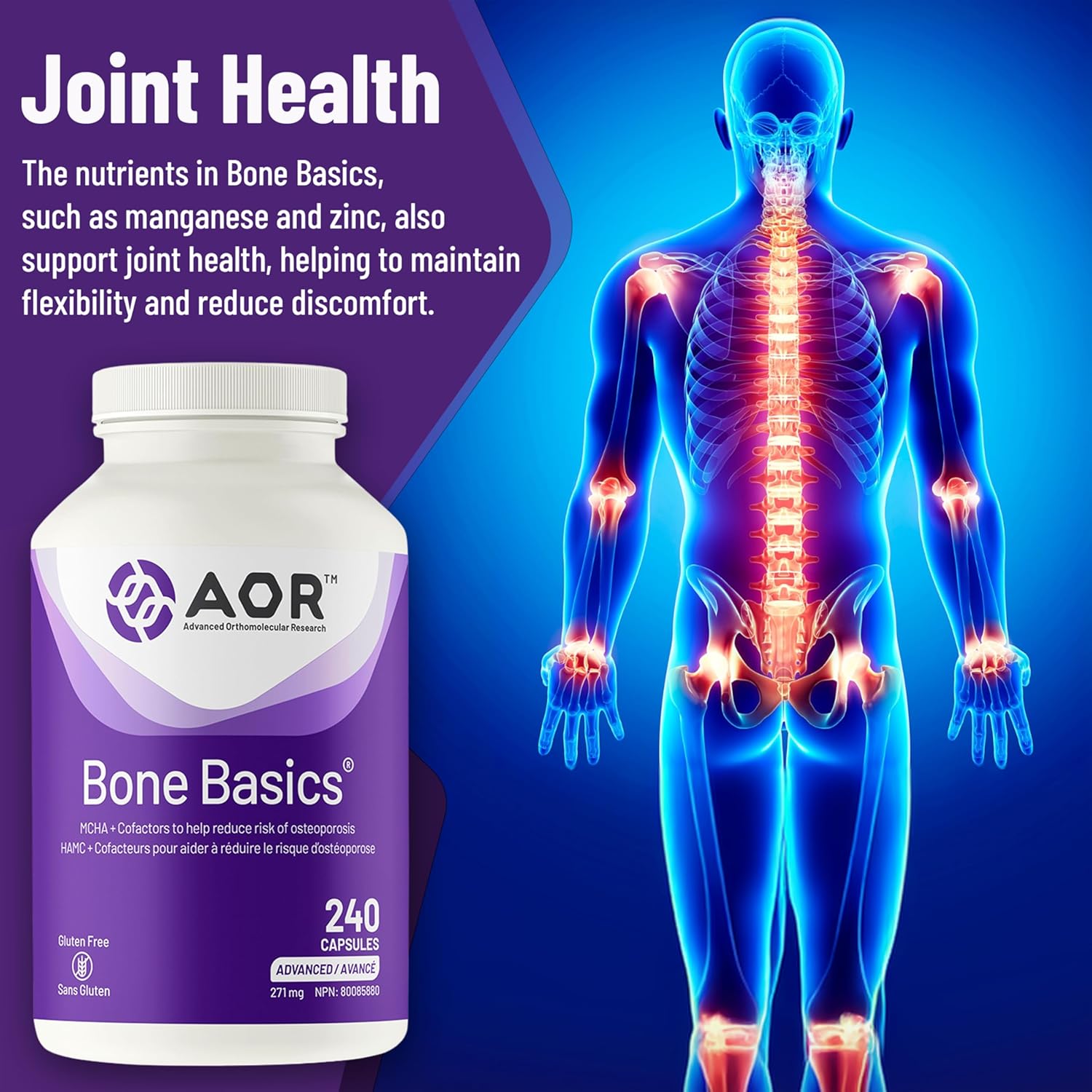 AOR Bone Basics 271mg - 240 capsules - Bone Support