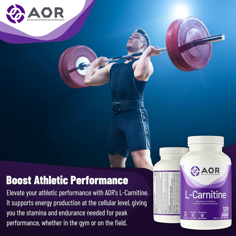 AOR L-Carnitine - 120 capsules - Amino Acids