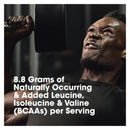 Optimum Nutrition Platinum HydroWhey - Turbo Chocolate 40 servings - Protein Powder