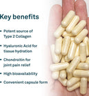 Organika Biocell Collagen (Supreme HA-300) - 180 capsules - Collagen