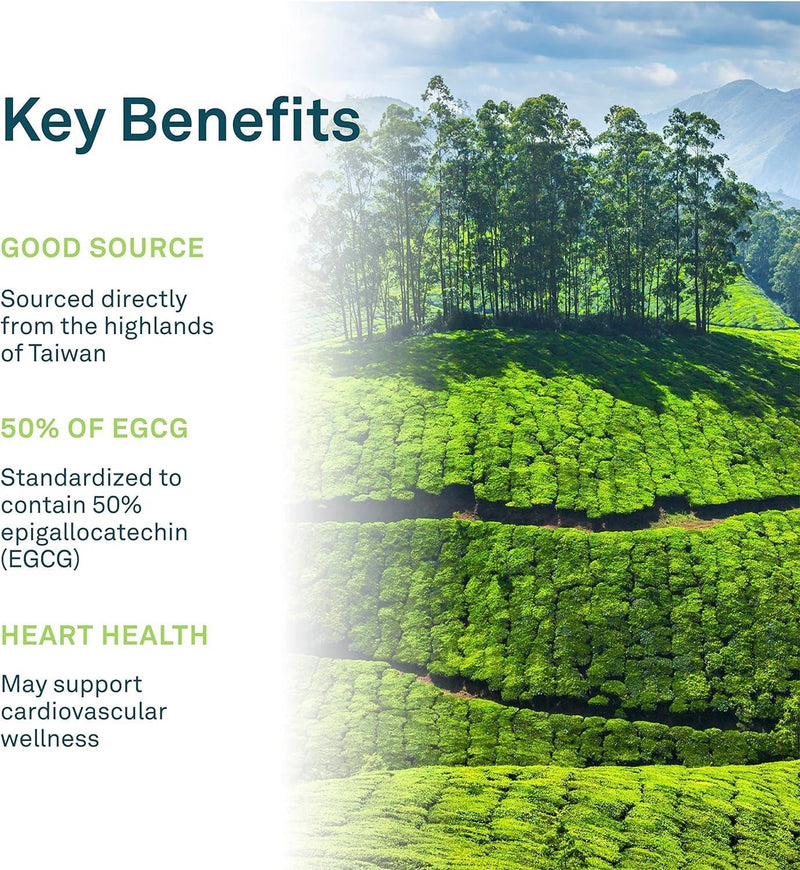 Organika Green Tea Extract - 60 vegetarian capsules - Antioxidant