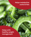 Organika CR-Bittermelon Blood Sugar Control - 120 capsules - Herbals