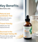 Organika Canadian Bee Propolis Liquid (Alcohol free) - 100ml - Herbals