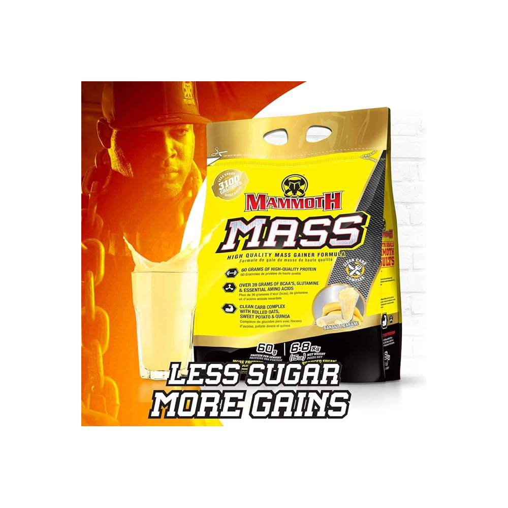 Mammoth Mass Vanilla Ice Cream / 15lb, Less Sugar More Gains, SNS Health, Mass Gainer