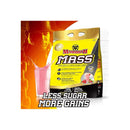 Mammoth Mass - Strawberry 15lb - - Mass Gainer