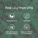 Organika Chanca Piedra 500mg