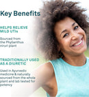 Organika Chanca Piedra 500mg