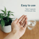 Organika Chanca Piedra 500mg