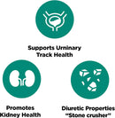 Platinum Naturals Chanca Piedra 500mg - 90 vegetarian capsules - - Herbals