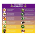 Shuddha - ARTH (Arthritis supplement) - 60 capsules - Herbals