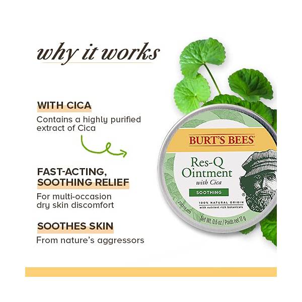 Burt's Bees Res-Q Ointment - 15g - Skin Care