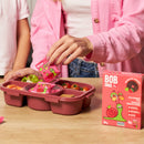 Bob Snail Fruit Rolls - Apple Strawberry 5-Pack - Snack