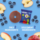 Bob Snail Fruit Rolls - Apple Blueberry 5-Pack - Snack