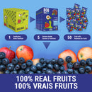 Bob Snail Fruit Rolls - Apple Blueberry 5-Pack - Snack