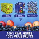 Bob Snail Stripes - Apple Pear Blueberry 7-Pack - Dried Fruits