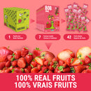 Bob Snail Stripes - Apple Black Currant 7-Pack - Dried Fruits